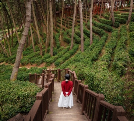익산시, 함라산에 60억 원 투입, '친환경 산림복지도시'
