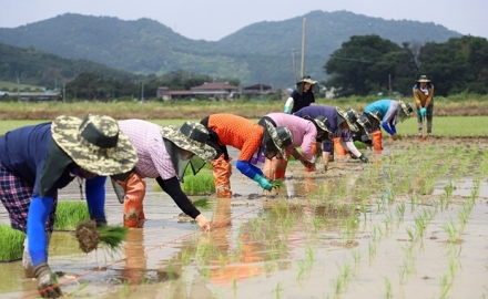 정읍시, 농민 공익수당 추석 전 지급, 1인 경영체 60만 원